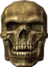 theskeleton