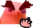 bingusANGY