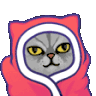 catdance Discord Emoji