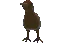 kiwirotate kiwirotate