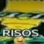 rindo