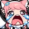 augNOOO augNOOO