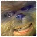 lumpy lumpy