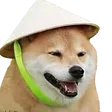 bup