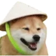 BUP_LOOK_AT_HGIM_GOOOOOOOOOOO