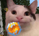 JK_pee Discord emoji