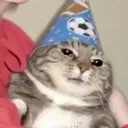 Partycat partycat Discord Emoji