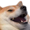 shibeLUL