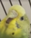 MOVE Discord emoji