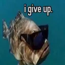 i_give_up
