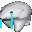 CryingPolarBear CryingPolarBear