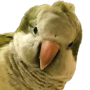 TychoWakie