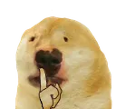 dugshh