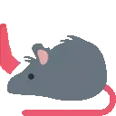 rat_hi5_right