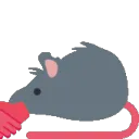 rat_handshake_right