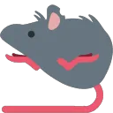 rat_shrug rat_shrug