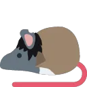 rat_Tatsuo_Shinada