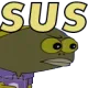sus sus