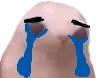 sadgebingus