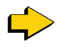 8764yellowarrowright