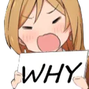 RioWhy