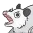 Possum