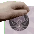 PetTheWish