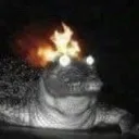 canadalligadile