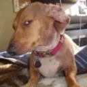 que