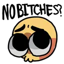 NoBitches