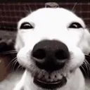 HEHEHAHAH