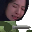 YoorimCryStab