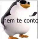 NemTeContoKKKK