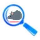 rat_investigator