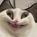 ccderp