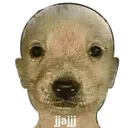 dogji