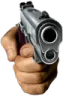 gun gun
