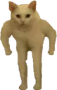 STRONKCAT