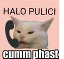 hello_pulich