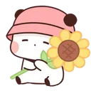 sunflower_bear