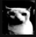 agony