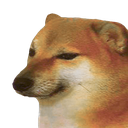 doge_dog_bruh_sad_pog Discord emoji