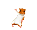 hamster99