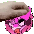 PinkyPetSlow PinkyPetSlow