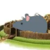 rat_bailey