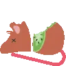 rat_kiwi_bite