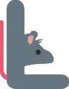 rat_L