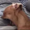 ahhh