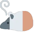 rat_smoking