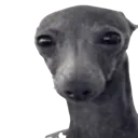 emoji_20
